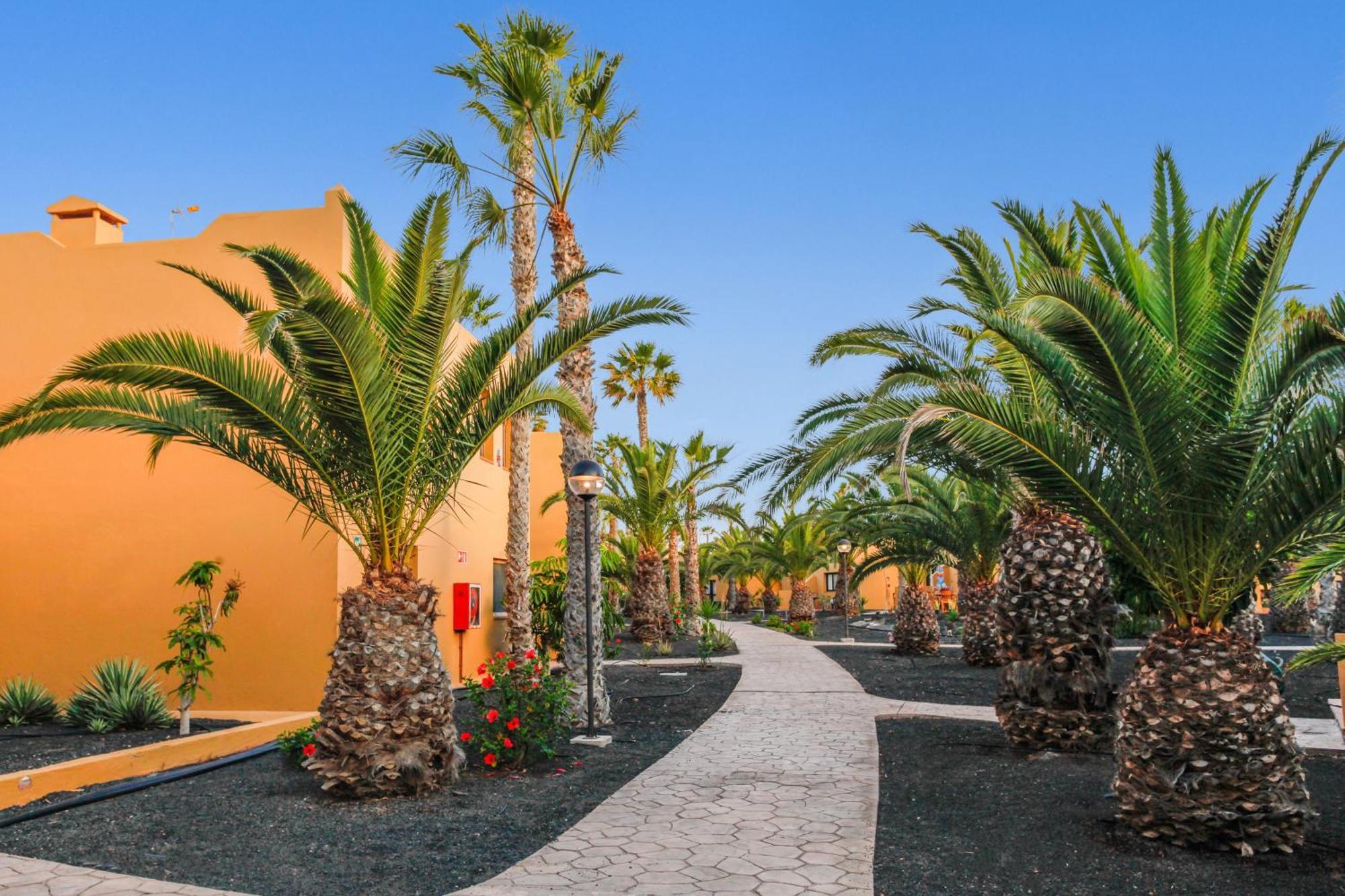 Apartamento Papagayo コラレホ エクステリア 写真