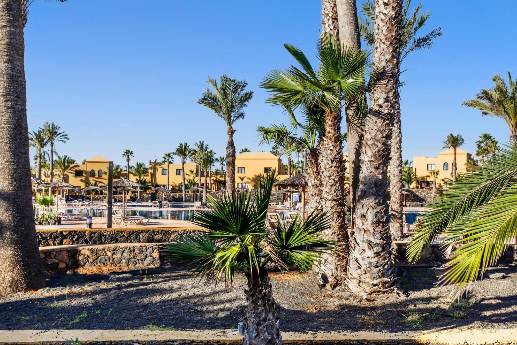 Apartamento Papagayo コラレホ エクステリア 写真